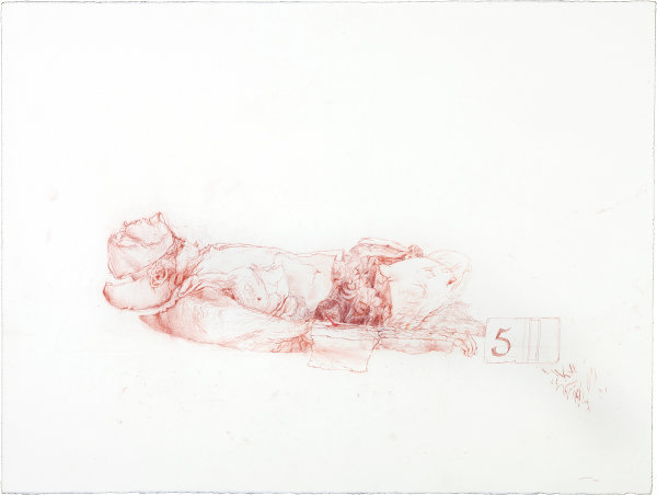 Megan Eustace: Donor Body Prepared for Spot Exam, Anatomy Department, TSM, 2010, Conte on paper, 56 x 76cm; courtesy the artist
